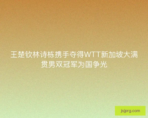 王楚钦林诗栋携手夺得WTT新加坡大满贯男双冠军为国争光